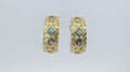 Load and play video in Gallery viewer, 14K Yellow Gold Etruscan Gemstone Hoops