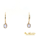 Load image into Gallery viewer, 14K Yellow Gold Oval Tanzanite Drop Earrings
