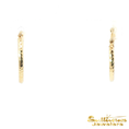 Load image into Gallery viewer, 14K Yellow Gold Diamond Cut Hoop Earrings
