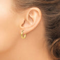 Load image into Gallery viewer, 14K Polished 3mm Tube Hoop Earrings
