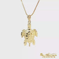 Load and play video in Gallery viewer, 14K Yellow Gold Turtle Pendant
